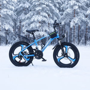 <span class=keywords><strong>Vélo</strong></span> de montagne pour filles de <span class=keywords><strong>20</strong></span> <span class=keywords><strong>pouces</strong></span> avec cadre en acier au carbone, freins à disque à vitesse unique, roues d'apprentissage et suspension de fourche - Product Image 2