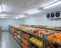 Almacenes Refrigerados Agrícolas Personalizados, Cámaras Frigoríficas Comerciales a Gran Escala para Frutas y Verduras, Congelador Rápido para Pollo