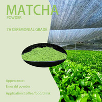 Bubuk Matcha Organik Grosir 30g Kelas Seremonial 6A Matcha Jepang Mewah Bubuk Matcha untuk Festival