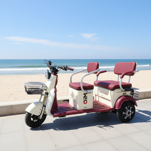 ราคาโรงงาน รถสามล้อไฟฟ้าสำหรับผู้ใหญ่ ขนาดเล็ก 1500w ของแท้ - Product Image 1