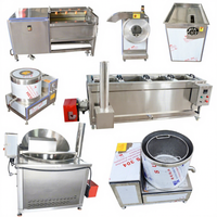 Machine à frire industrielle personnalisée SUS304 pour le chauffage au gaz frites nouvel état pour les snacks frits équipement de traitement