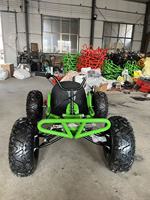 Buggy de Carreras para Adultos de 212cc y 4 Tiempos a Gasolina con Chasis de Alta Resistencia para Diversión en Parques de Atracciones al Aire Libre, Go Kart