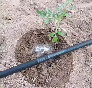 Tubulação do gotejamento com gotejador cilíndrico interno para a irrigação do jardim - Product Image 4