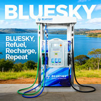 BLUESKY Dispensador de Gasolina Inteligente Digital, Dispensador de Combustible Automático para Colombia, Bomba de Combustible Diésel con Registro de Datos, China