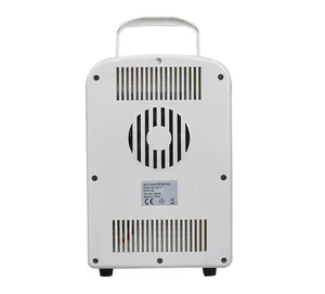 4 Litre özel kozmetik küçük cilt bakımı makyaj buzdolabı taşınabilir Mini soğutucu Usb fiş güzellik buzdolabı araba için yüksek kalite