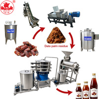 Hoge Efficiëntie Dataprocessorlijn, Datumpulp-maakmachine, Datervruchten Extractie- en Filtratie-apparatuur