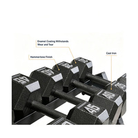 Set Dumbbell Heksagonal Kustom OEM, Beban Gym Ergonomis dari Besi Cor dengan Rak untuk Latihan di Rumah bagi Pria dan Wanita