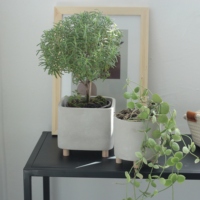 Pot de cactus de pots de plantes vertes de ciment de haute qualité avec des jambes en bois pour la décoration de jardin à la maison