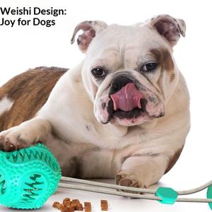 Büyük Köpekler İçin Diş Kaşıyıcı Oyuncak, Besleyici Sakız Topu ve Zil ile - Product Image 3