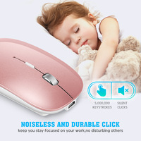 Souris optique mini double mode sans fil BT 5.2 + 2.4G avec récepteur USB-A Type-C, compatible avec tous les systèmes pour ordinateur portable, PC, iPad