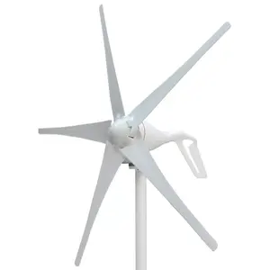 Hoge Efficiënte 200W 300W 400W Gratis Energie Horizontale Windmolen 3/5/6 Bladen Windturbine Generator 12V 24V Met Gratis Controller