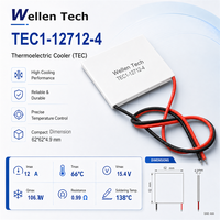 Plaques de refroidissement thermoélectriques de grande taille TEC1-12712 62x62x4.9 mm 15.4 V 106.7 W pour le contrôle de la température des modules de charge
