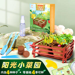 Kit de culture de légumes DIY Four Joys Sunny Vegetable Garden pour enfants, mini plantes en pot d'intérieur, ensemble éducatif pour la culture, âge 7-14 ans - Product Image 5