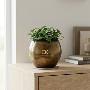 Pots de plantes arrondis d'intérieur Planteurs de vaisselle plaqués or Mini jardinière de décoration de chambre d'hôtel de luxe polie et brillante Vente à chaud - Product Image 2