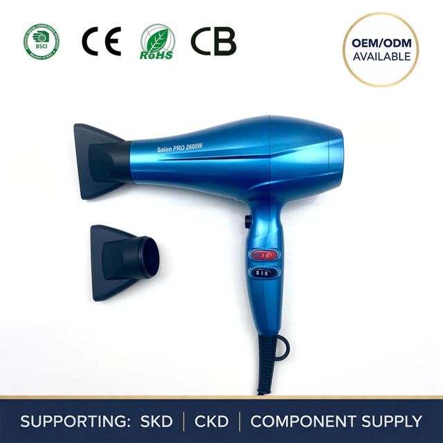 NB WIDE Professional 2600W Electric Salon Hair Dryer Speed AC Motor Custom Logo Concentrator Nozzle Ionic Household Use Blow