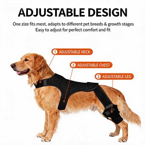 Orthopedic Dog Knee Brace Rear Leg Support <b>Harness</b> Pets with Hip <b>Harness</b> Leg Support for Walking Dog Back Knee Brace Adjustable - Product Image 5