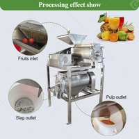 Mango Passie Maquina Elektrische Machune De Despulpadora Pulper Fruitschilmachine Met Putjes En Pulp