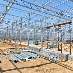 Commercial Multi-Span PC Polycarbonate <b>Greenhouse</b> with Galvanized Steel Frame <b>for</b> High-Yield Vegetable Farming - Product Image 6