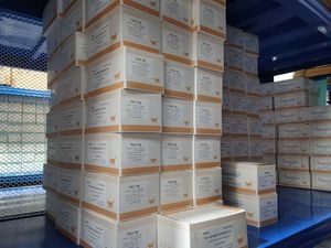 PetFi-i3/i5 Veterinär diagnose geräte POCT-Analysator für SDMA Cat Dog Pets Leish mania Antikörper test Fluoreszenz - Product Image 6