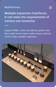 Haut-parleur karaoké portable de divertissement avec 2 micros sans fil Mini haut-parleur karaoké 14.1 pouces Lecteur karaoké Machine - Product Image 4