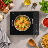 Table de cuisson à induction portable OEM 2000W à brûleur unique avec commande par bouton, cuisinière électrique pour cuisine domestique, vente en gros