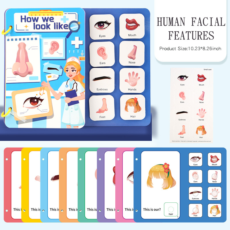 [Paquete B] Kit de carrocería de inicio