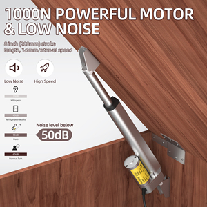 Actuador Lineal Eléctrico a Granel de 12V, Impermeable IP54, Carrera de 8 Pulgadas, 1000N, Certificado RoHS CE para Automatización Solar - Product Image 4