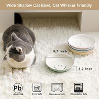 Ensemble de bols en céramique pour chat de 5,5 pouces de large, 5 assiettes colorées pour chatons, motifs mignons, nourriture humide, eau sèche, moustaches, outils de mesure