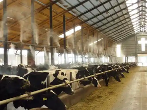 Spray de alta pressão para desodorizar equipamentos de fazenda de ovelhas, sistema de desinfecção de fazenda de porcos, máquina de névoa - Product Image 3