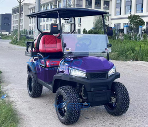 Carritos de Golf Elegantes y Modernos, Diseño Aerodinámico, Carro de Golf Eléctrico con Batería para Transporte en Parques Temáticos - Product Image 4