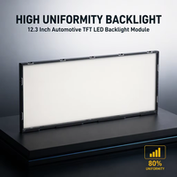 Module d'éclairage arrière TFT automobile haute luminosité 12,3 pouces LH-123001W pour tableau de bord de voiture et panneau d'instruments de véhicule OEM LH PC PFC