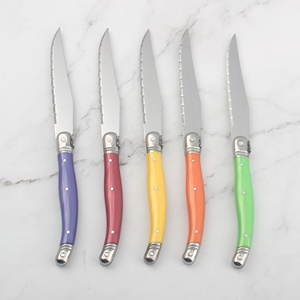 Moda manico multicolore francese <span class=keywords><strong>Laguiole</strong></span> decorare posate ape bistecca coltello <span class=keywords><strong>Laguiole</strong></span> Set di coltelli da bistecca colorati in acciaio inossidabile - Product Image 6