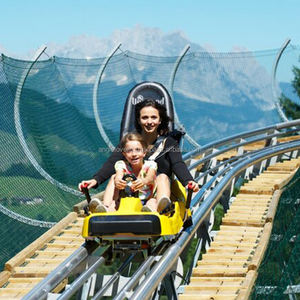 Type de produit Premium Outdoor Alpine Mountain Slide Roller Coaster Adventure Amusement Ride Challenge avec Grass Skiing Touch - Product Image 2