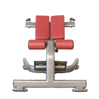 Vente en gros de chaise romaine de haute qualité banc de gymnastique d'entraînement machine d'extension de dossier de chaise de banc romain abdominal