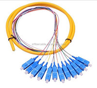 0.9mm 12 Couleur/noyau Ruban Patch Cordon Sc Upc Apc Monomode Lc Fc St E2000 G652D Sm Mm Om2 Om3 Om4 12core Fibre Optique Pigtail