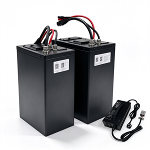 Batterie lithium-ion 48V 35Ah à longue durée de vie avec contrôle de température BMS pour remplacement de batterie de moto électrique - Product Image 2