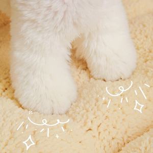 เตียงสัตว์เลี้ยงรูปทรงแอปเปิ้ลสีแดงเตียงโซฟาสำหรับสุนัขแมวนอนหรูหรา - Product Image 6