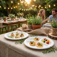 Assiettes rondes jetables en plastique PP de qualité alimentaire, épaisses et blanches, pour collations, barbecues, buffets, plateaux de fruits, pique-niques, nouilles