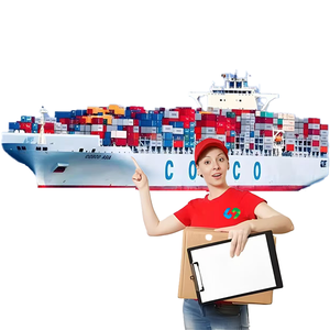 알리 가장 저렴한 바다화물 운송업자 뜨거운 판매 배송 요금 FEDEX DHL UPS 익스프레스 도어 도어 중국 미국 배송 대리점 - Product Image 5