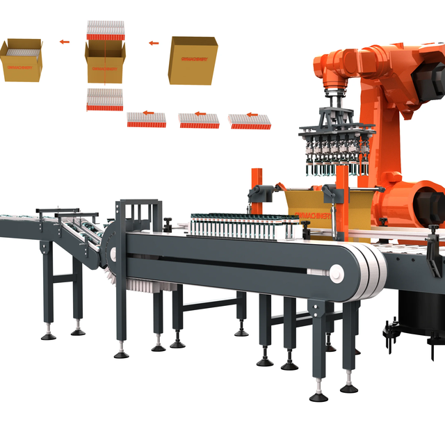 Automated Factory for Robot Pick All Type Boxes Into the Carton