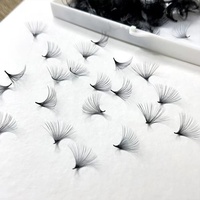 Oferta Especial: Extensiones de Pestañas 12D Puntiagudas al por Mayor, Fans Premade Sueltos 0.03 CC Curl con Bases Puntiagudas, Fans Premade Sueltos de Pestañas de Visón