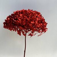 Bloemstukken Planten Echte Anna Hortensia's Langdurig Houdende Eeuwigdurende Ge conserveerde Anna Hortensia's voor Valentijnsdag Bruiloft