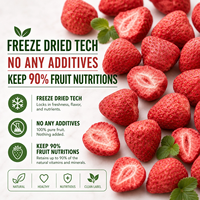 HALAL KOHSER CERTIFICAAT Gedroogd Fruit 100% Natuurlijk Vriesgedroogde Aardbei ODM OEM Smaak Private Label