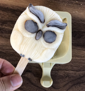 Moules à glace en silicone et moules DIY avec formes de squelettes - Supports pour glaces et sucettes maison, compatibles congélateur - Product Image 4