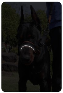 <span class=keywords><strong>Muselière</strong></span> réglable en cuir PU Kingtale Training No Pull <span class=keywords><strong>pour</strong></span> chiens de taille moyenne et grande, avec laisse, permet de faire des gémissements et de <span class=keywords><strong>boire</strong></span> - Product Image 5
