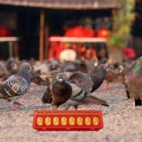 Mangeoire rectangulaire pour poussins à 28 trous avec couvercle, anti-gaspillage, longue auge pour volailles, poulets, canards, oies, pigeons, élevage avicole