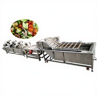 Transportband Salade Wasmachine Snijmachine Fruit En Groente Wassen Lijn