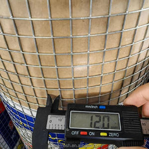 Maille de fil métallique galvanisé soudé 2x2 pour le renforcement des bâtiments et la construction de plâtrage mural - Product Image 6