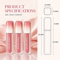 Gloss à lèvres rose naturel personnalisé à longue tenue avec couvercle rose dégradé et flacon transparent pour un look naturel