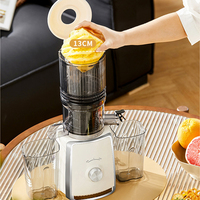 Super Hot Juicer 130MM Grote Diameter Netvrije Snijder voor Sapresten Scheiding Zuivere Sap 500W ABS